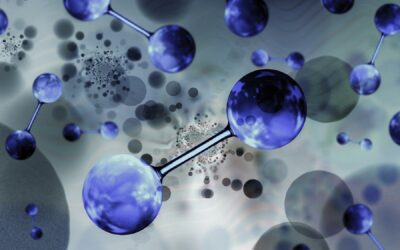 Le Manquement et le Délit d’Initié : Principe d’Abstention