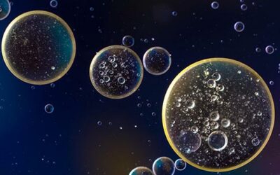 Abus de marché – Délit d’initié